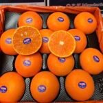 Quýt Úc 2PH Premium – New South Wales | Không Hạt • Dễ Bóc • Ngọt Thanh - Ảnh 3